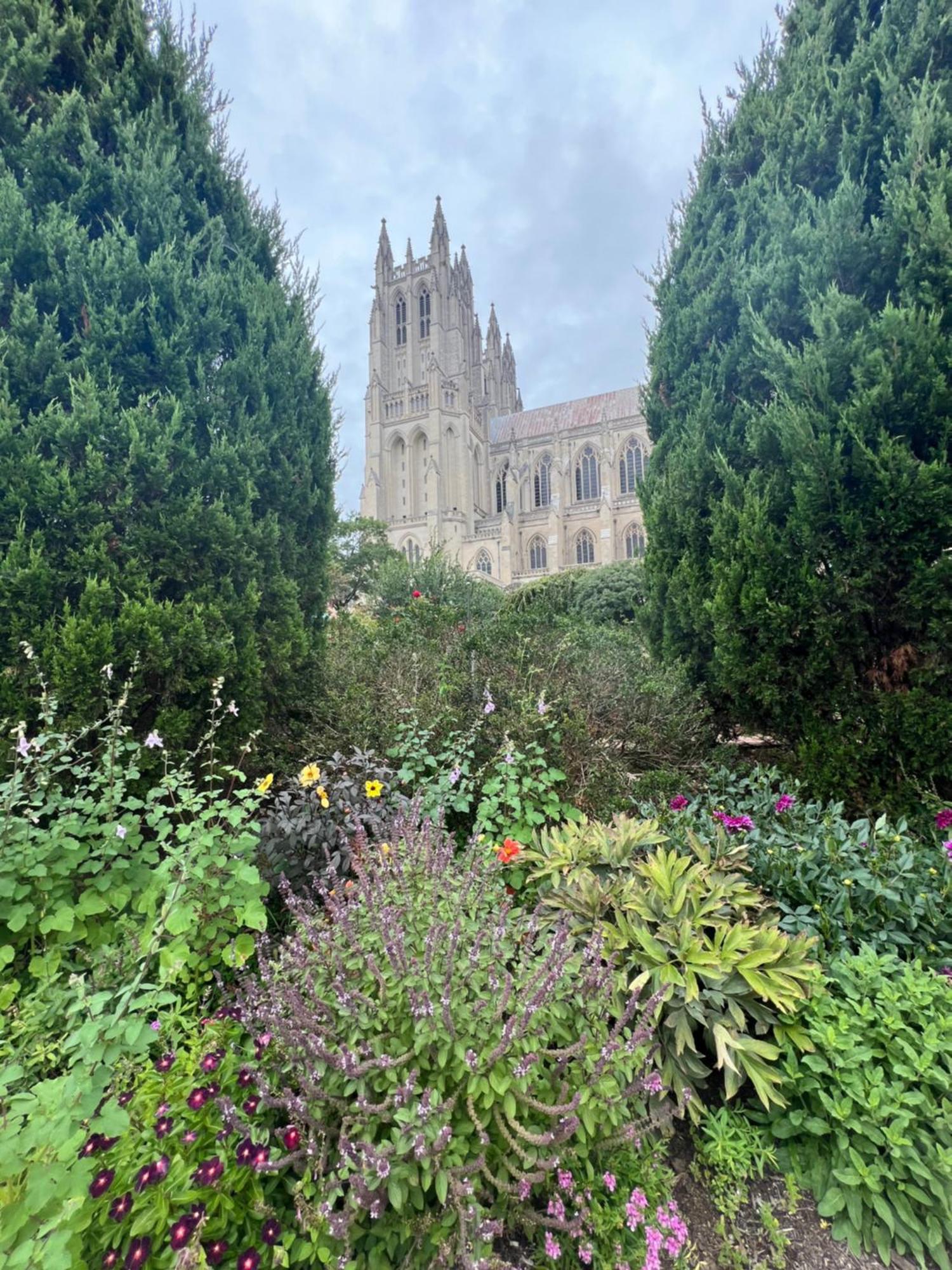 דירות וושינגטון Glover Park/Georgetown Oasis With Parking מראה חיצוני תמונה